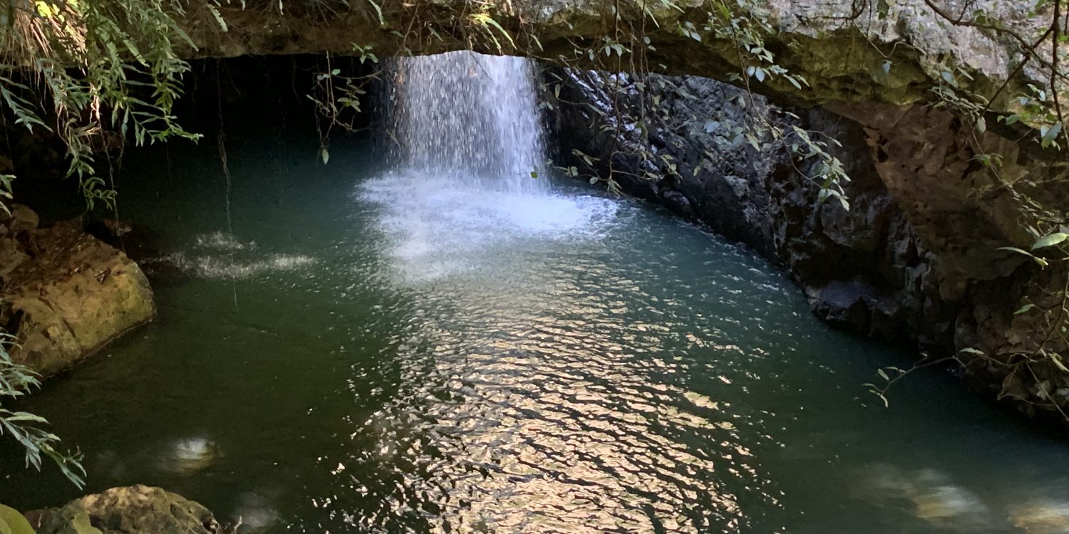 Cariad Health - counselling, supervision, Reiki - - NDIS Registered - Brisbane, Waterfall