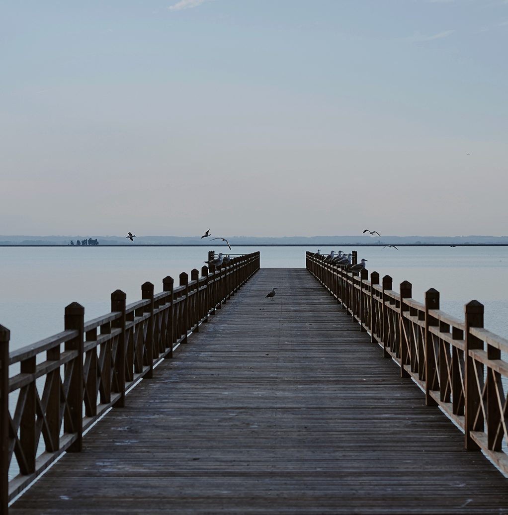 Cariad Health - Counselling - NDIS - Brisbane, Redlands, Logan - Pier EAP Supervision